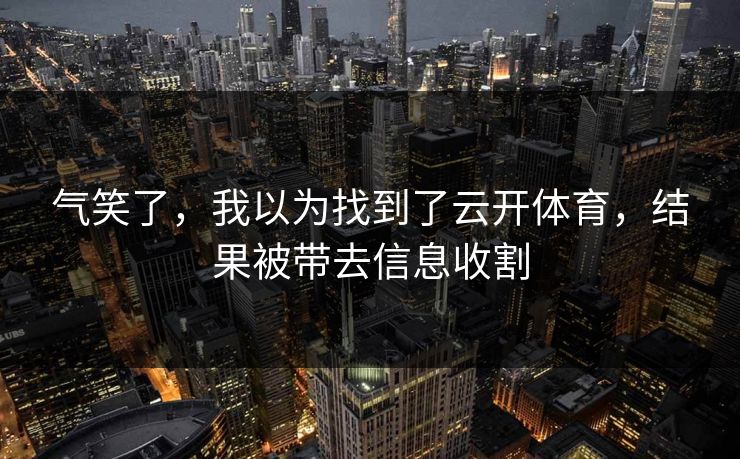 气笑了，我以为找到了云开体育，结果被带去信息收割