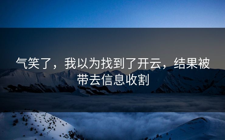 气笑了，我以为找到了开云，结果被带去信息收割