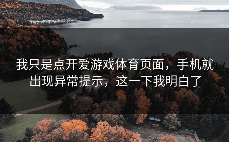 我只是点开爱游戏体育页面,手机就出现异常提示,这一下我明白了 我只是点开爱游戏体育页面,手机就出现异常提示,这一下我明白了